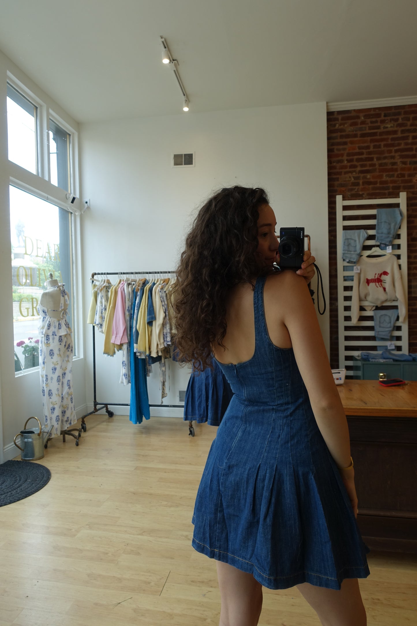 Park Denim Dress